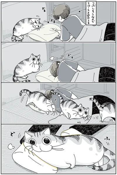 『夜は猫といっしょ 4』より