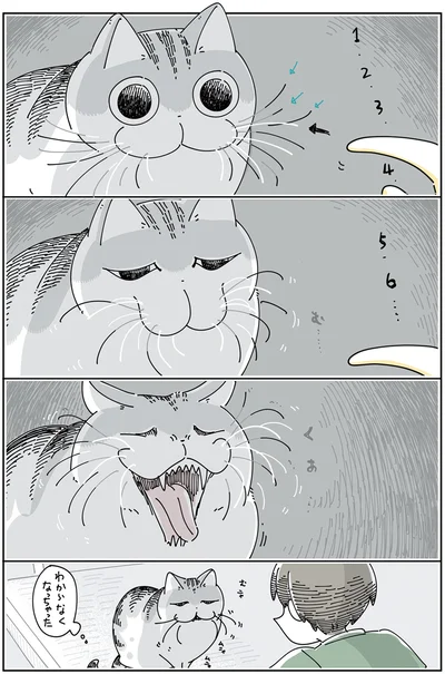 『夜は猫といっしょ 4』より