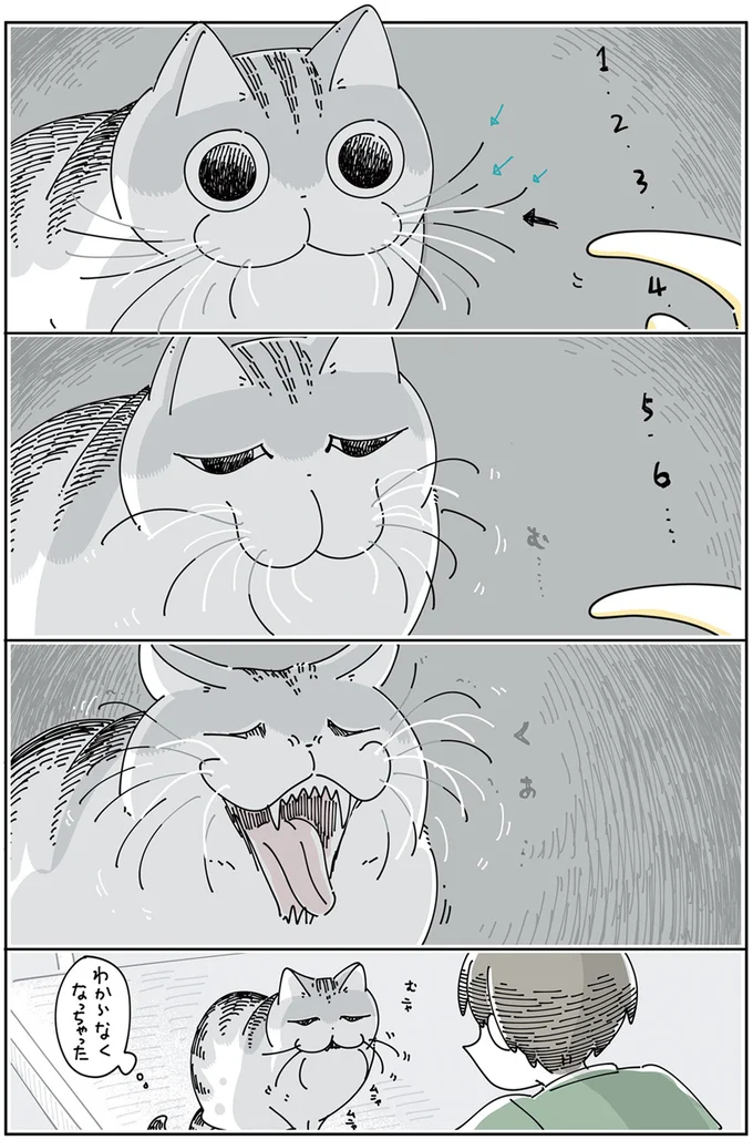 『夜は猫といっしょ 4』より