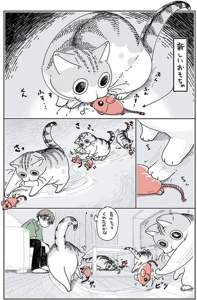 『夜は猫といっしょ 4』より