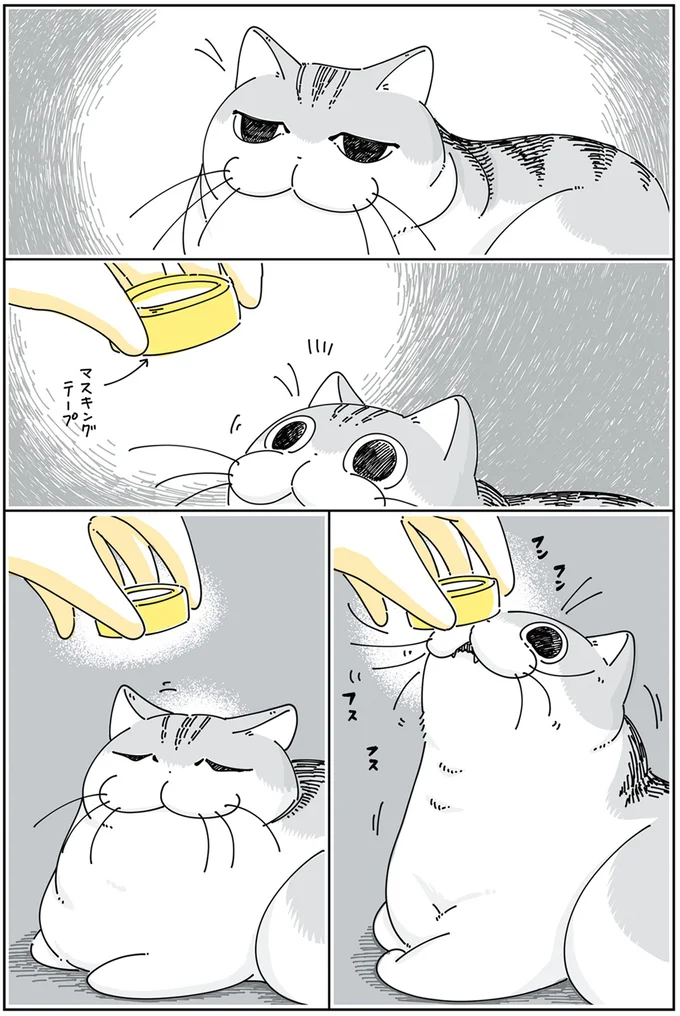 『夜は猫といっしょ 4』より