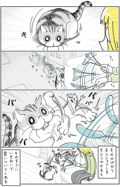 『夜は猫といっしょ 4』より