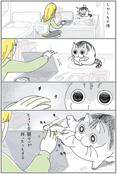 『夜は猫といっしょ 4』より