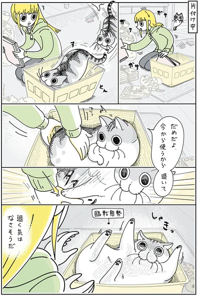 『夜は猫といっしょ 4』より