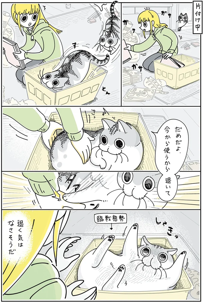 『夜は猫といっしょ 4』より