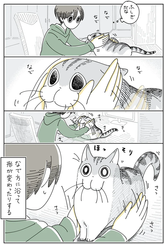 『夜は猫といっしょ 4』より