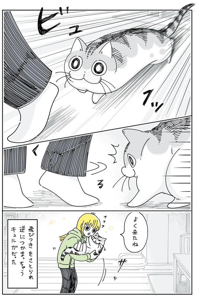 逆につかまっちゃうキュルガ