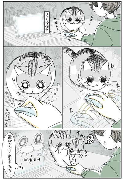 マウス操作が気になるネコ