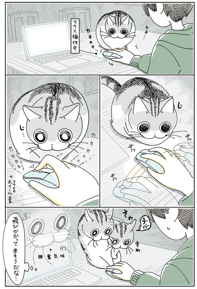 マウス操作が気になるネコ