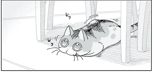 ああ、飛びついてくる顔だ。狙いを定めた猫の一手先を読むのは？