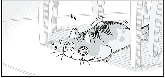 ああ、飛びついてくる顔だ。狙いを定めた猫の一手先を読むのは？