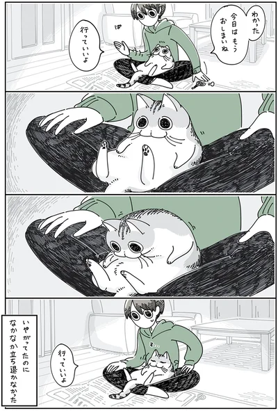 『夜は猫といっしょ5』より