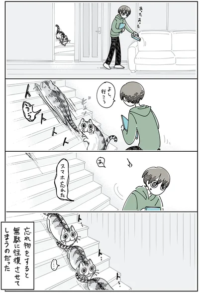 『夜は猫といっしょ5』より