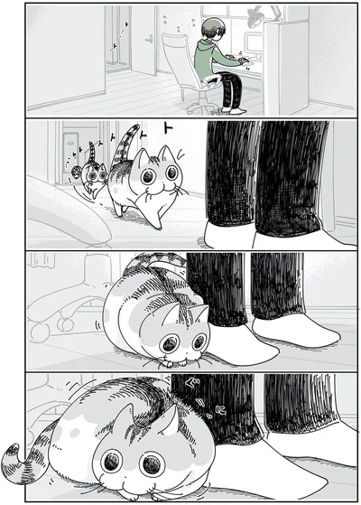 『夜は猫といっしょ5』より