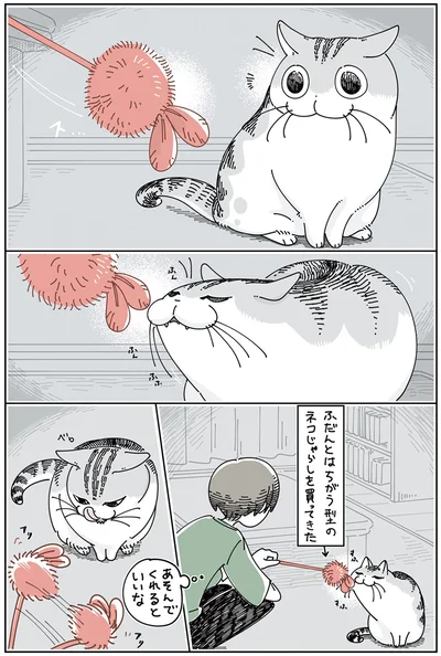 『夜は猫といっしょ5』より