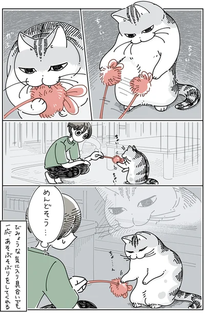 『夜は猫といっしょ5』より