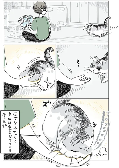 『夜は猫といっしょ5』より