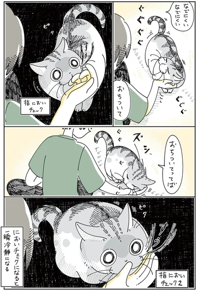 『夜は猫といっしょ5』より