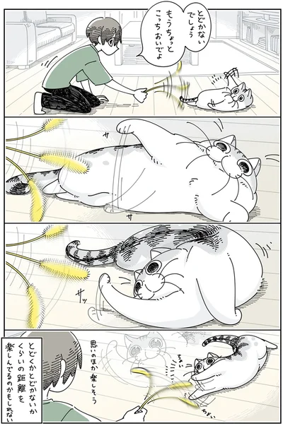 『夜は猫といっしょ5』より