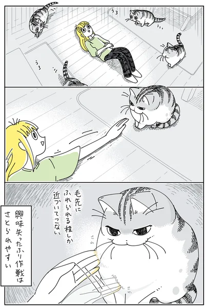『夜は猫といっしょ5』より