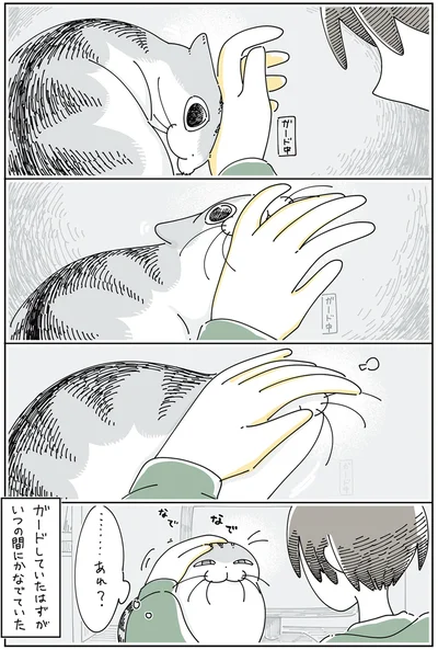 ガードしていたはずが