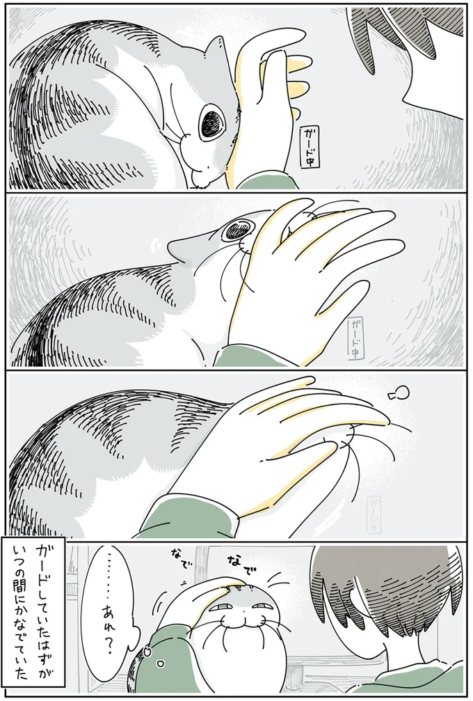 ガードしていたはずが