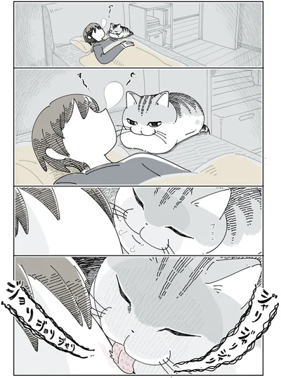 『夜は猫といっしょ6』より