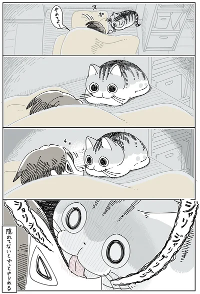 『夜は猫といっしょ6』より