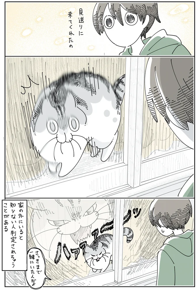 『夜は猫といっしょ6』より