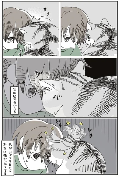 『夜は猫といっしょ7』より