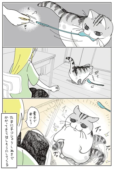 『夜は猫といっしょ7』より