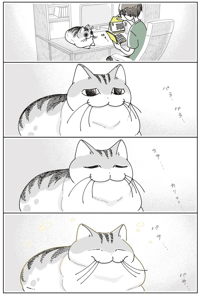 『夜は猫といっしょ7』より