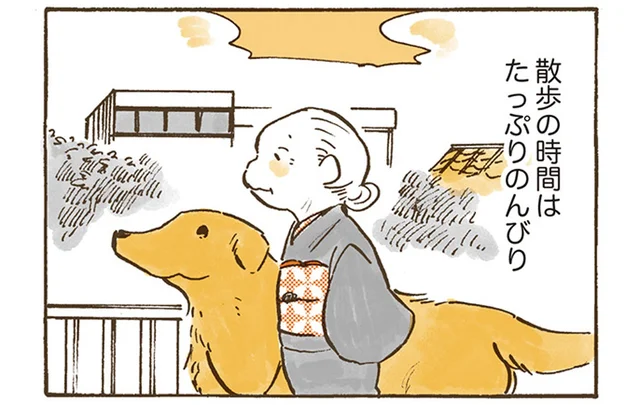 ゆっくり歩いて、ゆっくり座って。おばあちゃんとレトリバーの春散歩