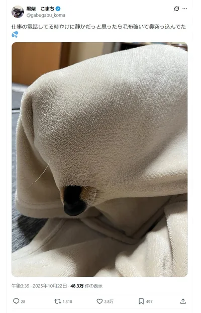 やけに静かだと思ったら…▶フィット感◎（⇒次へ）