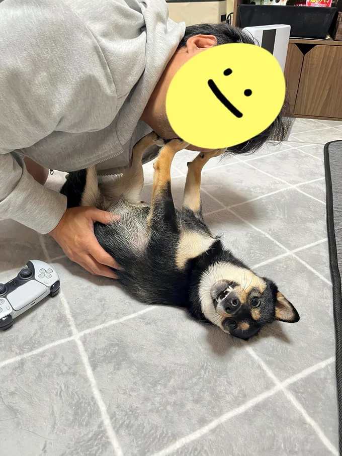 キスを拒否するこまちちゃん▶続 必死の抵抗（⇒次へ）