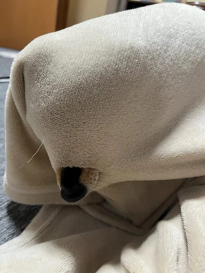 破ってスッポリ▶足から伝わる多幸感（⇒次へ）