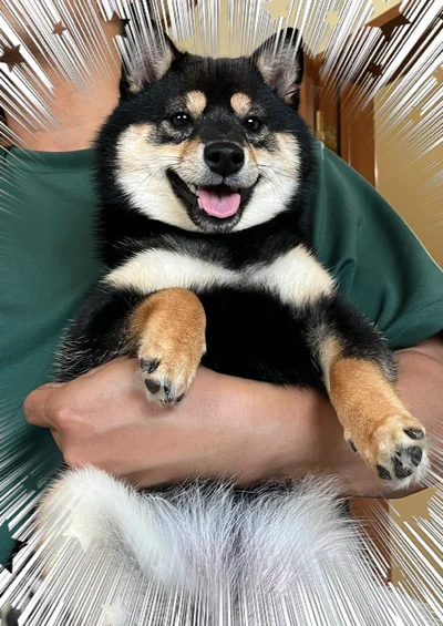 こんなに丸顔だったっけ？▶危険を察知…！（⇒次へ）