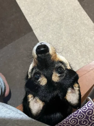 上目遣いのこまちちゃん▶誘われてる…？（⇒次へ）