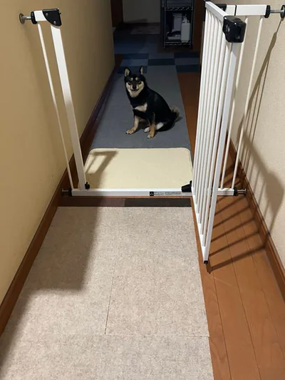 「二度寝しようよ！」▶こっちだよ！（⇒次へ）