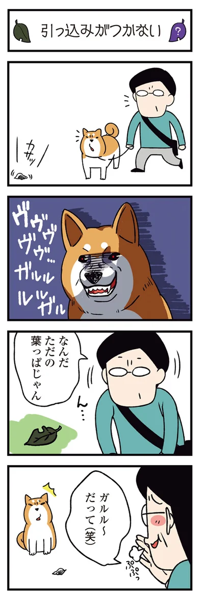 『ドヤ顔柴犬どんぐり2』より