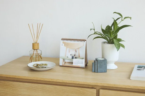  富士フイルムのフォトカレンダー「COYOMI」。写真は卓上カレンダー