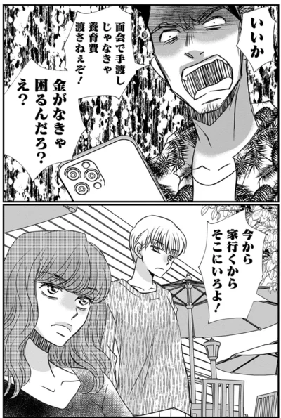 いいか、面会で手渡しじゃなきゃ養育費渡さねぇぞ！