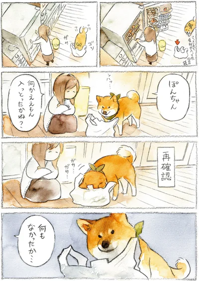 『柴犬ぽんちゃん、今日もわが道を行く』より