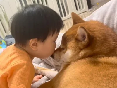 息子さんはポテくんが大好き▶ポテくんの忍耐力がすごい（⇒次へ）