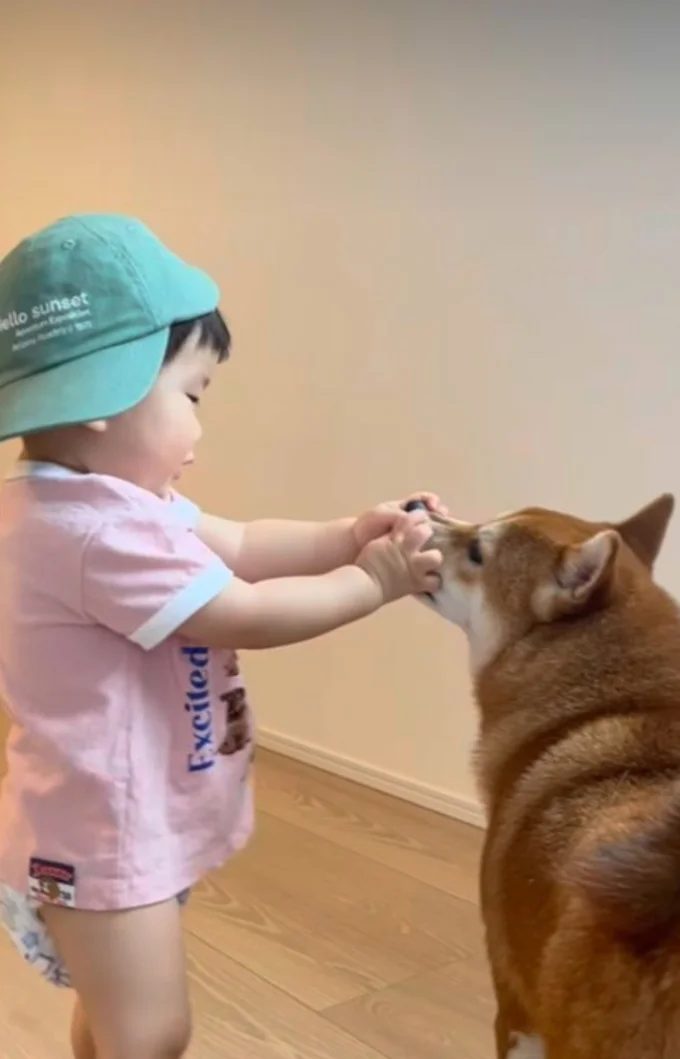 お兄ちゃんと弟のよう▶何度押しつぶされても我慢（⇒次へ）