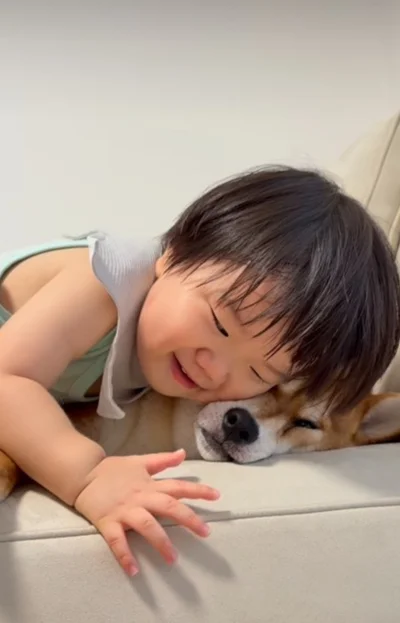 ソファで押しつぶされるポテくん▶兄弟のようなふたり（⇒次へ）