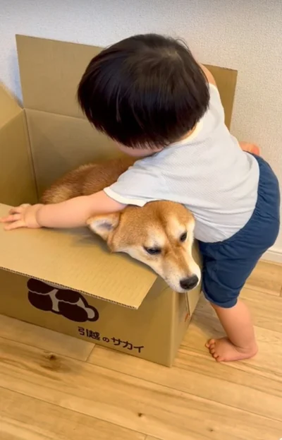 押しつぶされるポテくん▶なかよし兄弟はいつも一緒（⇒次へ）