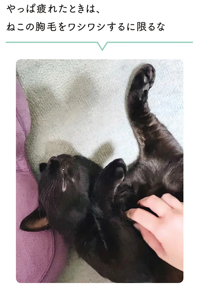 『黒猫ろんと暮らしたら２』より