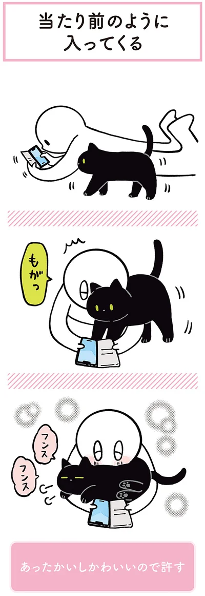 『黒猫ろんと暮らしたら２』より