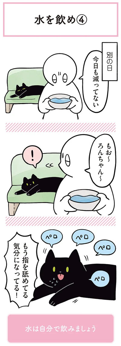 『黒猫ろんと暮らしたら２』より